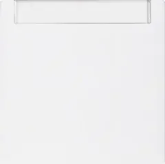 Berker Wippe pws 16261909