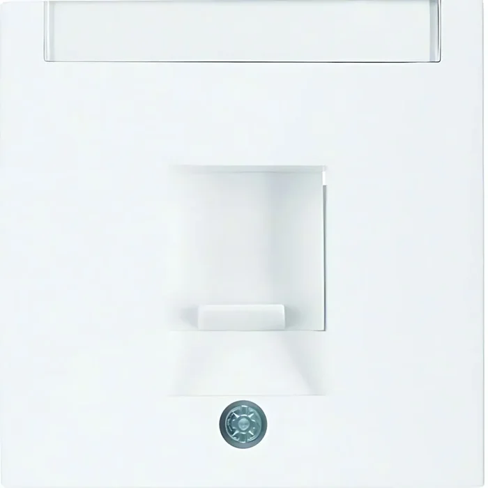 Berker Zentralstück 11701909