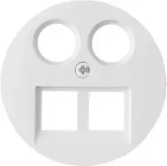 Berker Zentralstück 2fach pws 14452089