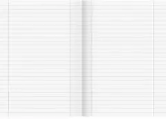 Brunnen Schulheft Lin 27 104492702 DIN A4 16Blatt liniert