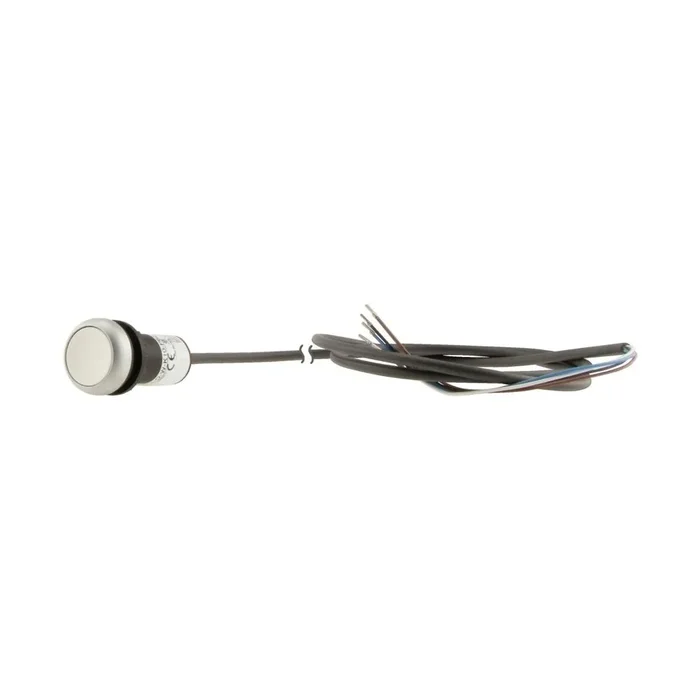 Eaton Drucktaste 185610 Typ C22-DR-W-K10-P62
