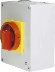Elektra Tailfingen Haupt-Not-Ausschalter V2N05/HS-T24/2-D-MRG