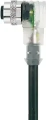 Escha Steckverbinder AL-WWAK3P2 8065359