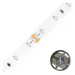 EVN Lichttechnik LED-Strip ICSB2024302855