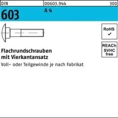 Flachrundschraube DIN 603 m.Vierkantansatz M 10 x 110 A 4 50 Stück