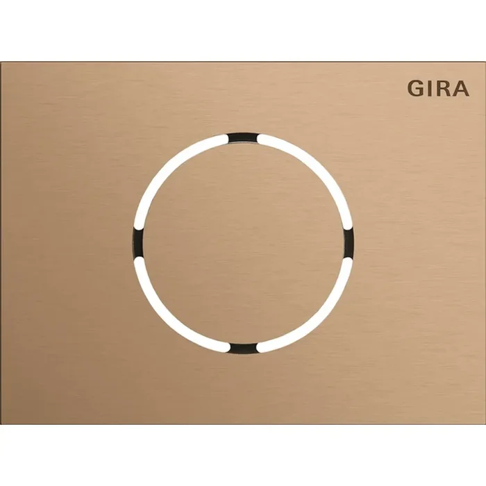 Gira Frontplatte 5579921