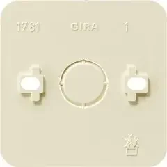 Gira Montageplatte 1f.cws 008113