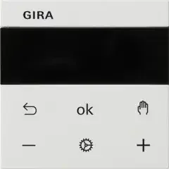 Gira RTR BT System 539427