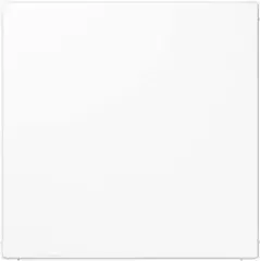 Jung Blind-Abdeckung aws LS 994 B WW