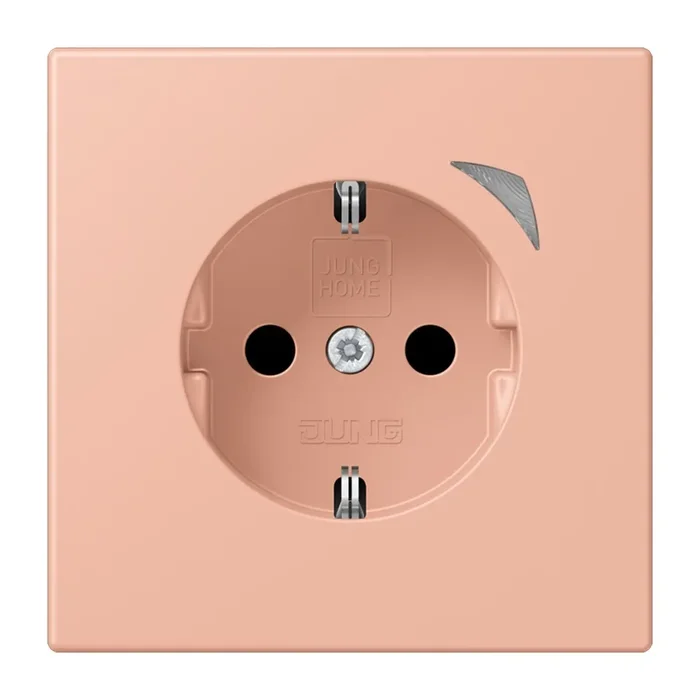 Jung JUNG HOME SCHUKO Steckdose BTLC1521SE231