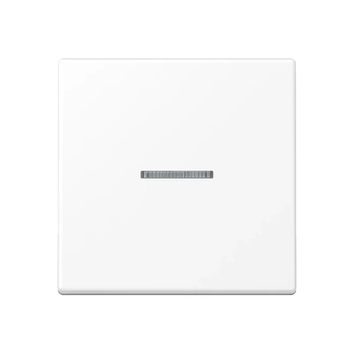 Jung Wippe m. Lichtleiter A590KO5WWM