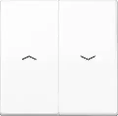 Jung Wippe Symbole aws AS 591-5 PBF WW