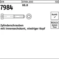 Reyher Zylinderschraube DIN 7984 Innen-6kt M10x 12 8.8 200 Stück