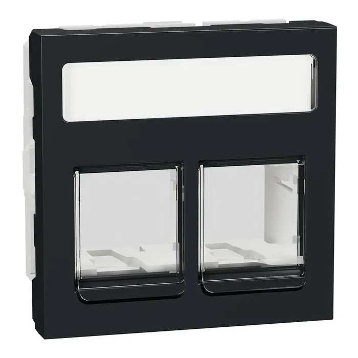 Schneider Electric Zentralplatte NU942254