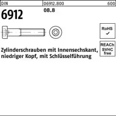Zylinderschraube DIN 6912 Innen-6kt M10x 130 8.8 50 Stück